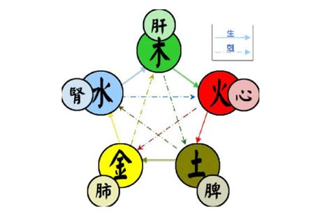 五行代表動物|五行（对万事万物的取象比类）